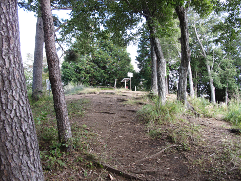 20151014hike (222)